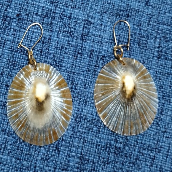 Paulo's of Honolulu Jewelry - Opihi Shell Earrings